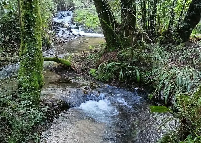 Casa Do Bidueiro Дом отдыха