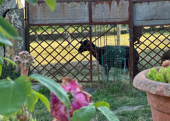 Casa Do Bidueiro Дом отдыха Луоу